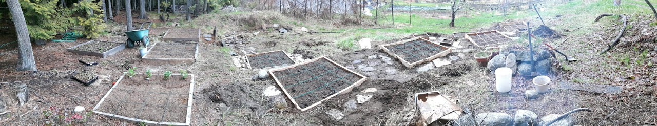 Square foot gardening