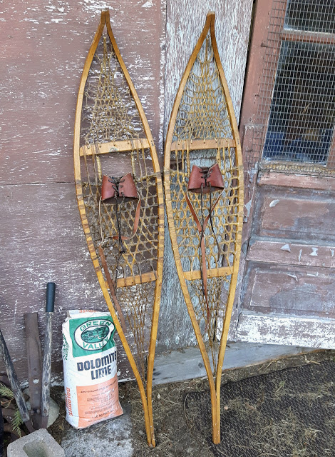 Snowshoes