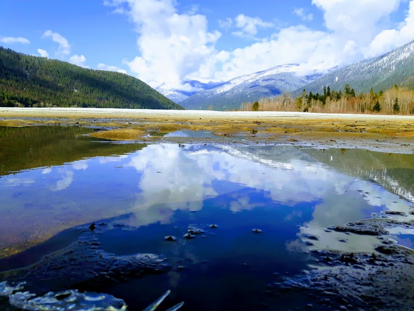 Low Water, Kokanee Creek