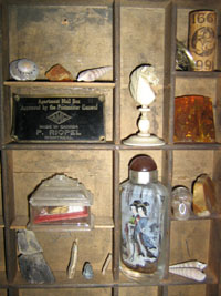 Image: Curios