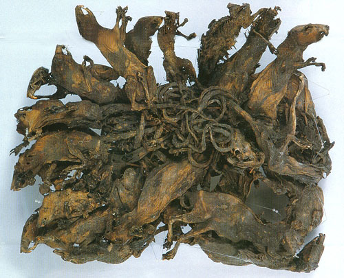Image: The Ratking